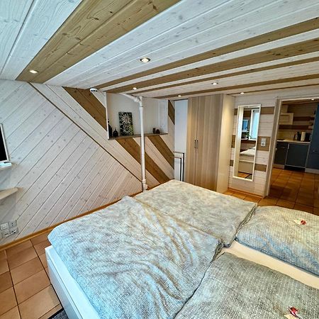 Schwabennestle - Ferienwohnung Albstadt-Onstmettingen Ngoại thất bức ảnh